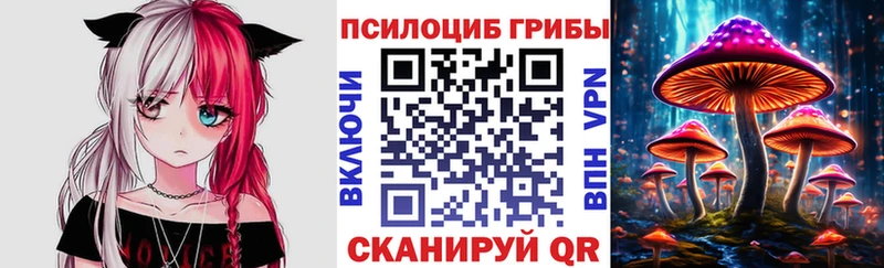 Купить закладки  Шелехов  Галлюциногенные грибы мухоморы 